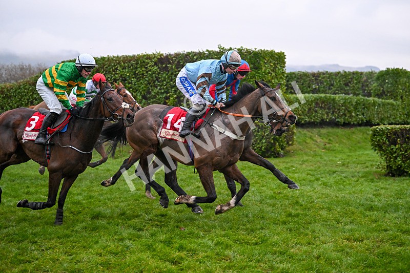 131224-Race 6-Statuario-9606 - Race 6