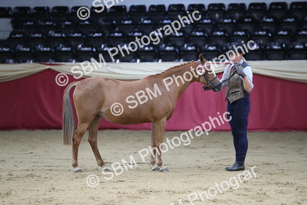 SBM_04979 - Class 8R- Regional -IH Veteran