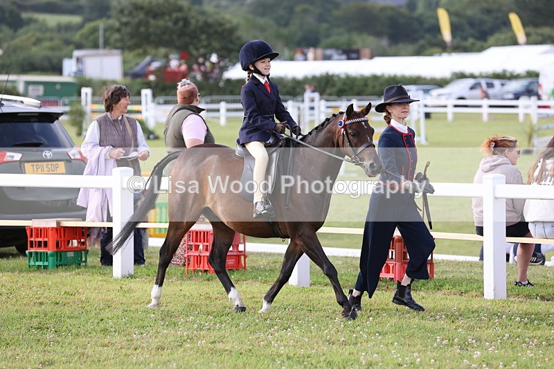 JPP_0309 - Class 14: Cornish Combination Leading Rein