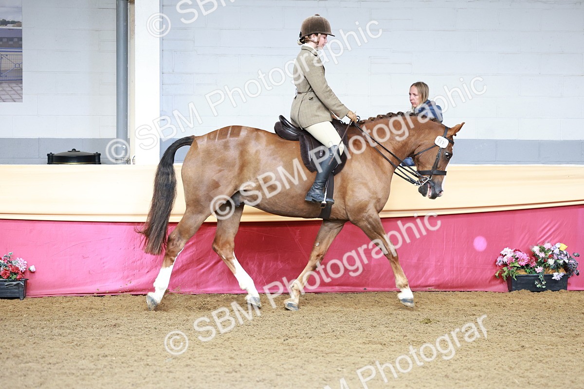 SBM_11965 - Class 102 - Equitation (Best Rider) Adult
