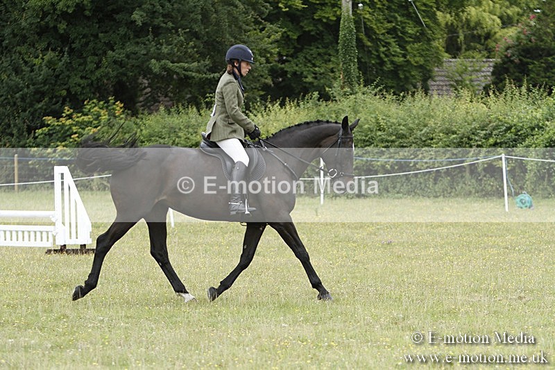 BVR160717-933 - Ring 3 BVRC Show 16/07/17