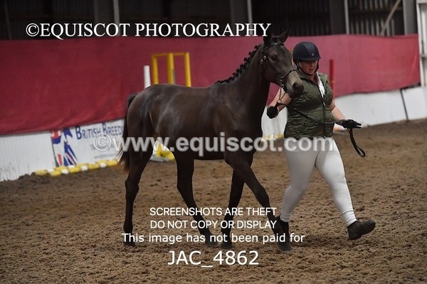 JAC_4862 - 4 River Dance, Take A Chance