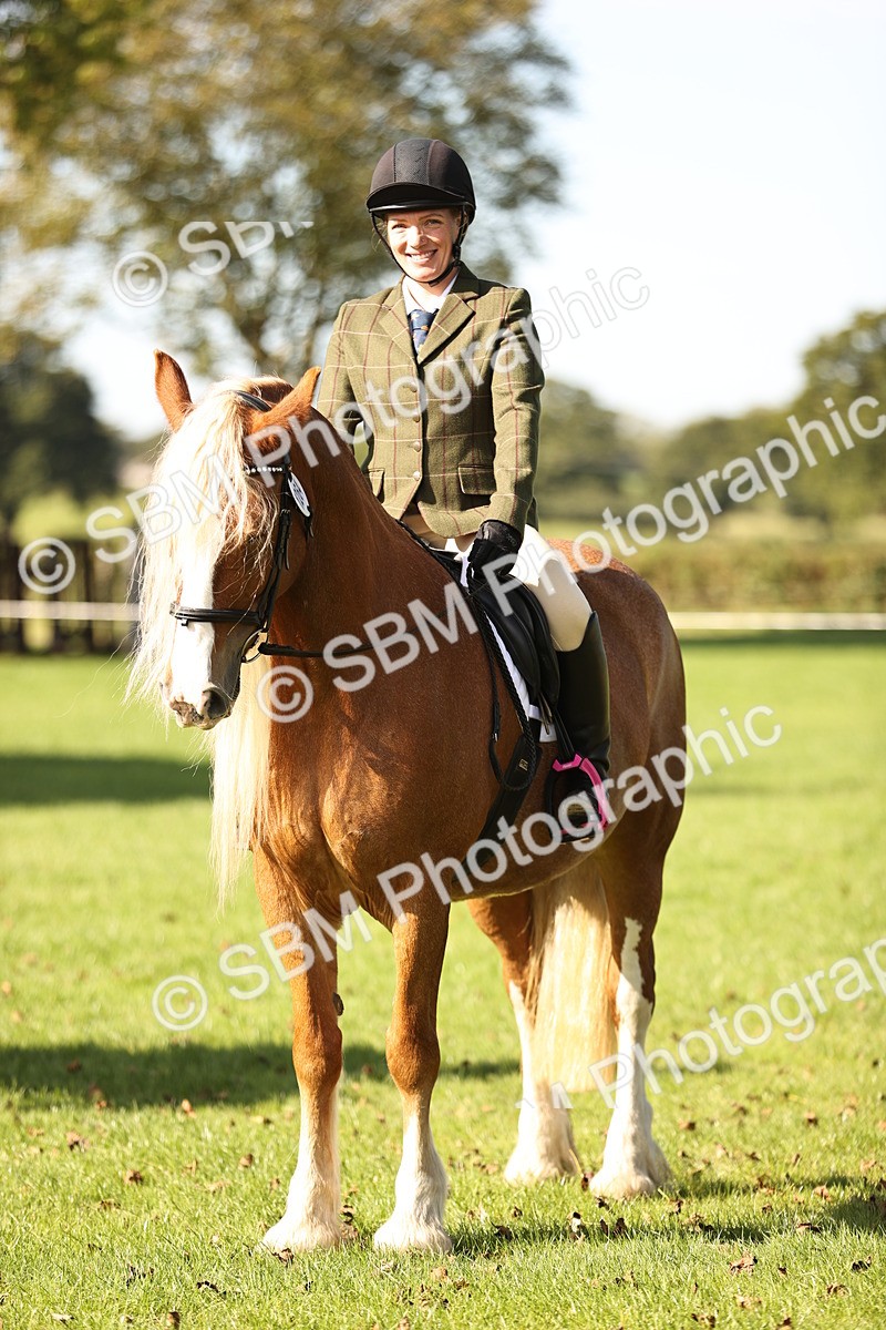 SBM_17003 - S2 - TSR Ridden Pony Showing