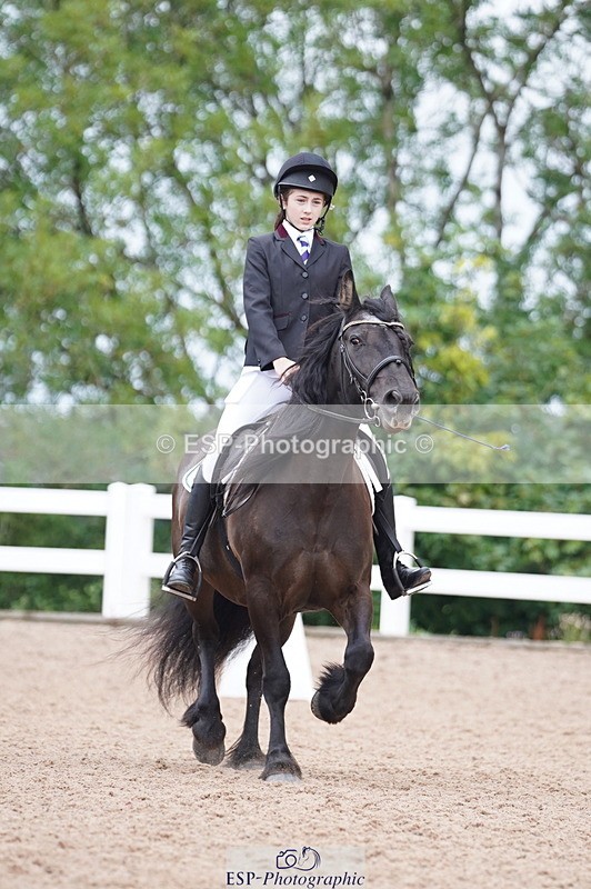 240809A-095126-00341 - Dressage Competition