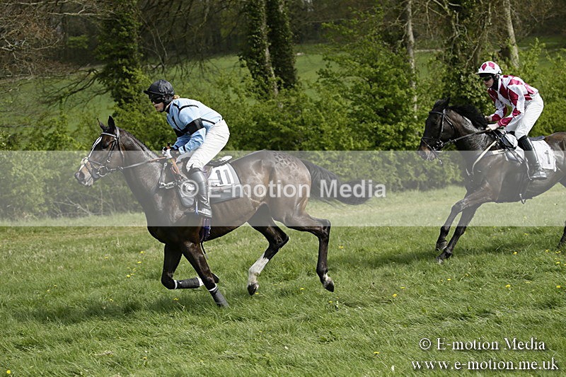PtP 170417 302 - Old Berks Point-to-Point Lockinge 17/04/17