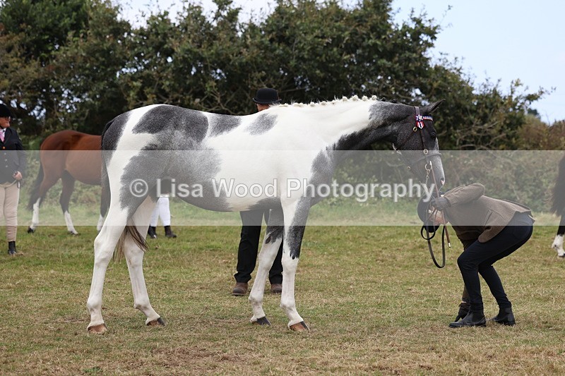 3E7A4161 - Class 15: Two Year Olds