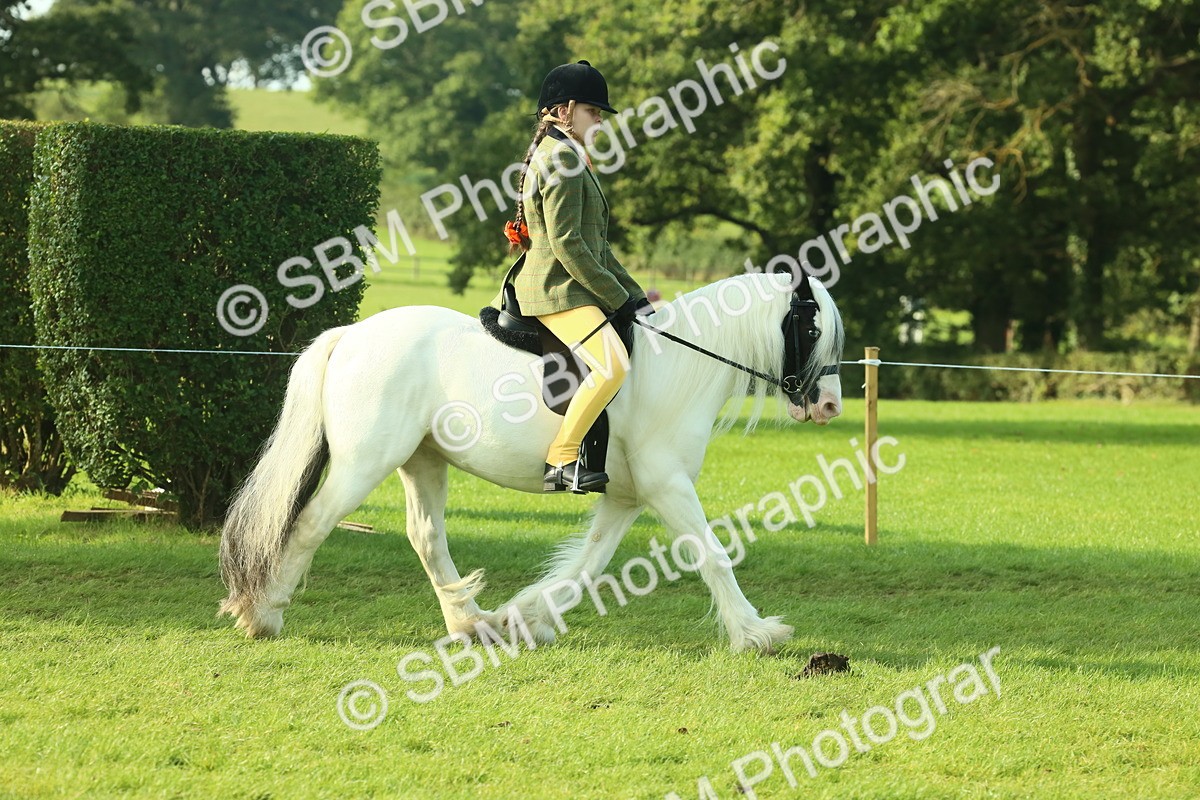 SBM_59812 - S38 - Starters Ridden Showing