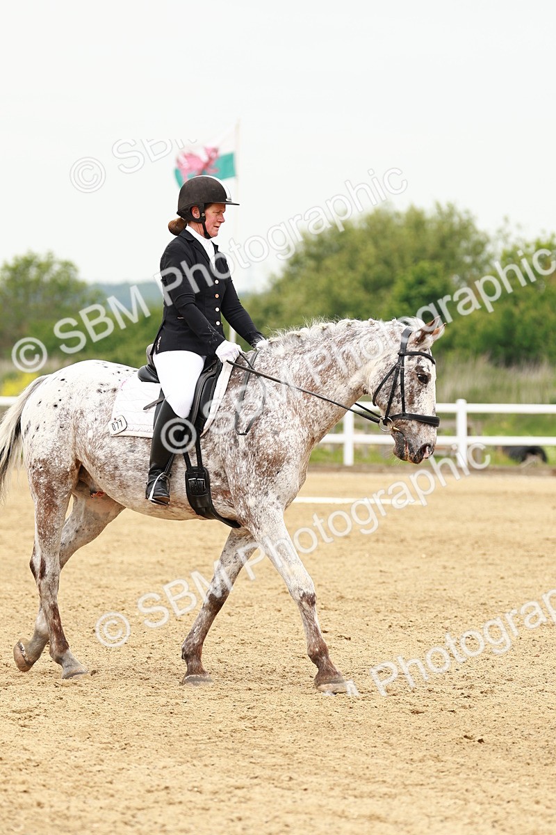 SBM_001263 - Class 7 - Novice 5