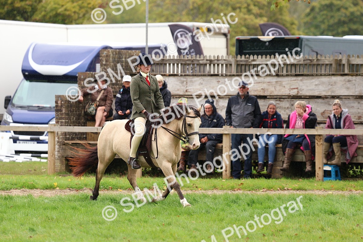 SBM_69633 - S62 - Mountain & Moorland Ridden Large Breeds