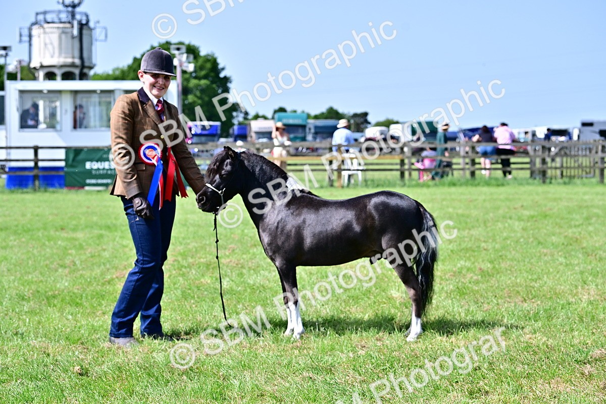 SBM_03685
