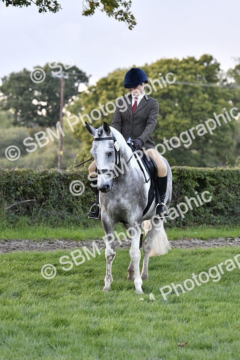 SBM_53599 - S14 - Riding Club Horse