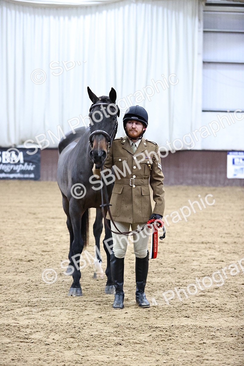 SBM_5218 - Class 39 - In Hand Gelding