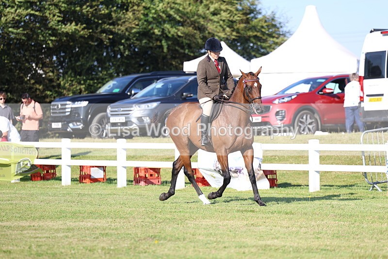 3E7A5105 - Class 1: Rising Star Small Hack/Riding Horses