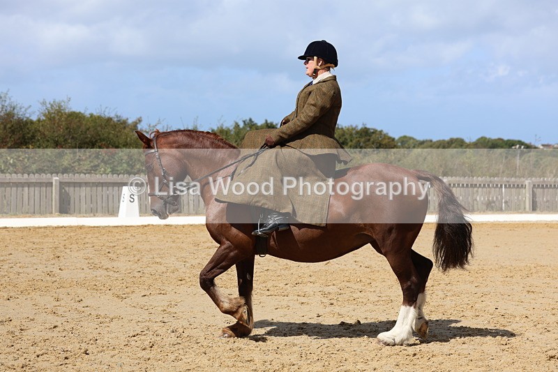 3E7A3575 - Class 7:  Preliminary Music