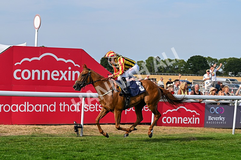 130826-Race 6-Saxon Grace-9929 - Race 6 16.45pm Racing Again On Saturday 29 August Handicap