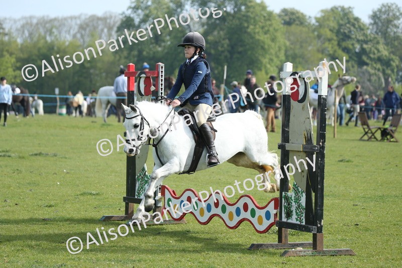 20260426-0107 - Class 13 - Rookie Jumping 50cm
