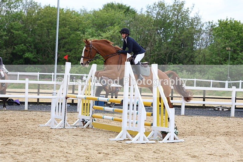 3E7A6262 - Class 4: Senior British Novice/90cm open