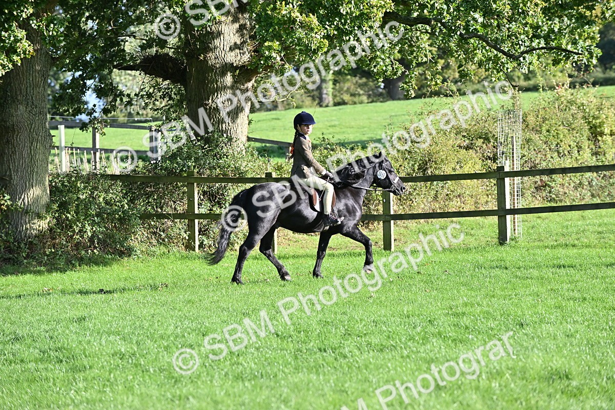 SBM_53000 - S23 - First Ridden Mountain & Moorland Pony