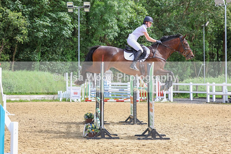 3E7A7529 - Class 9: Senior Foxhunter/1.20 open
