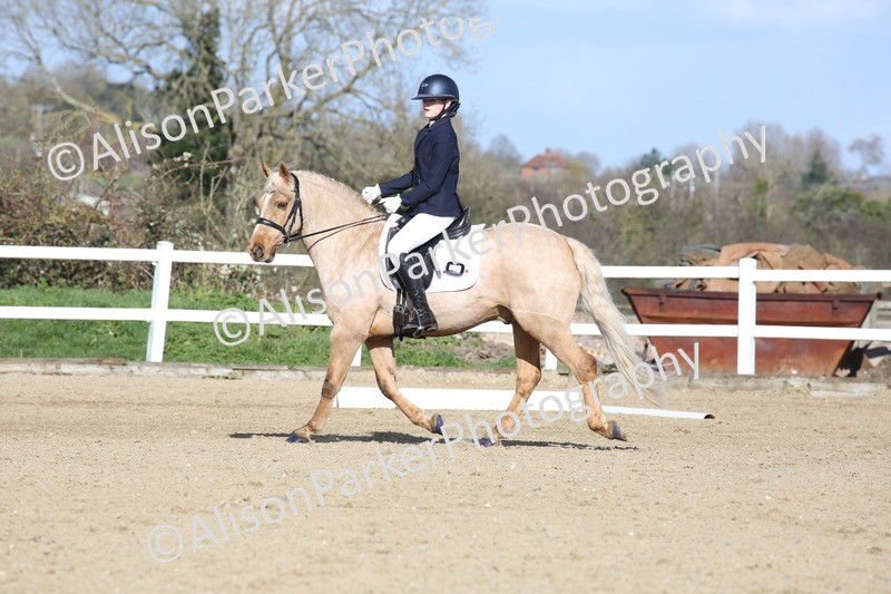 20260314-5168 - DR6 - Novice 2