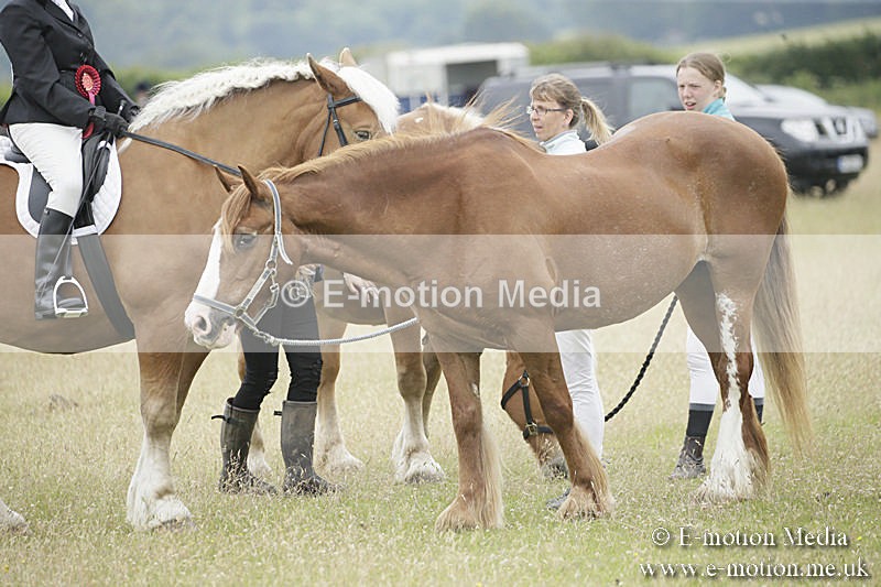 B230619-0906 - Bourne Valley Riding Club Summer Show 23/06/19