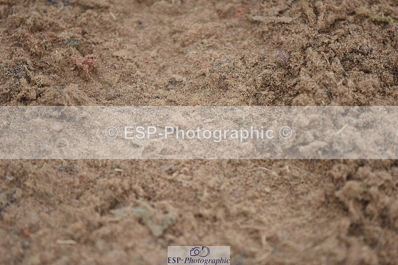 230916A-153636-05386 - Cls 18 Snr 95cm Derby