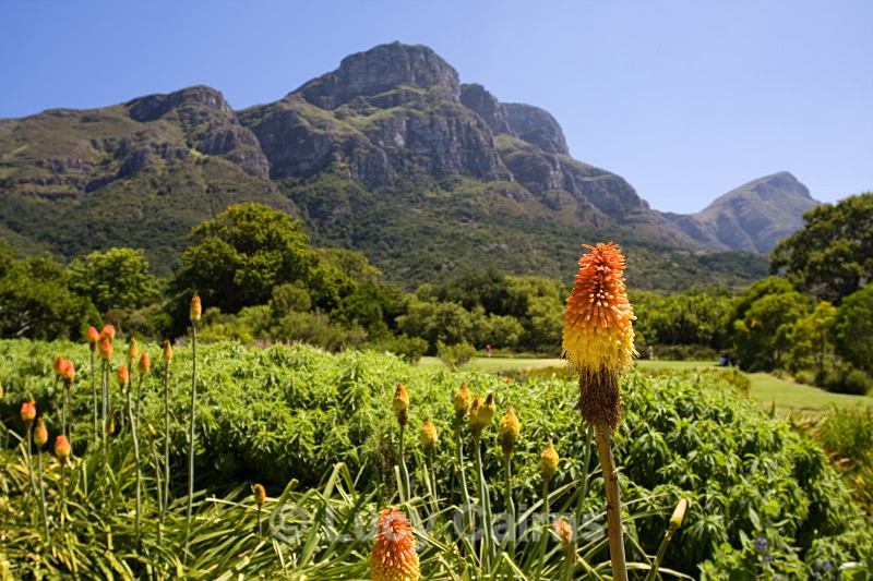  - Capetown, South Africa