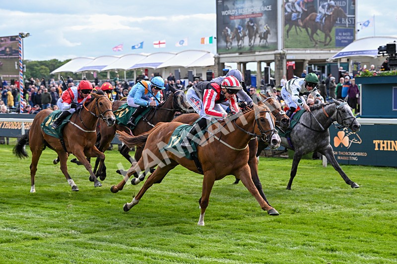 150526-Race 6-Fortification-8417 - Race 6 4.40pm Irish Thoroughbred Marketing Handicap