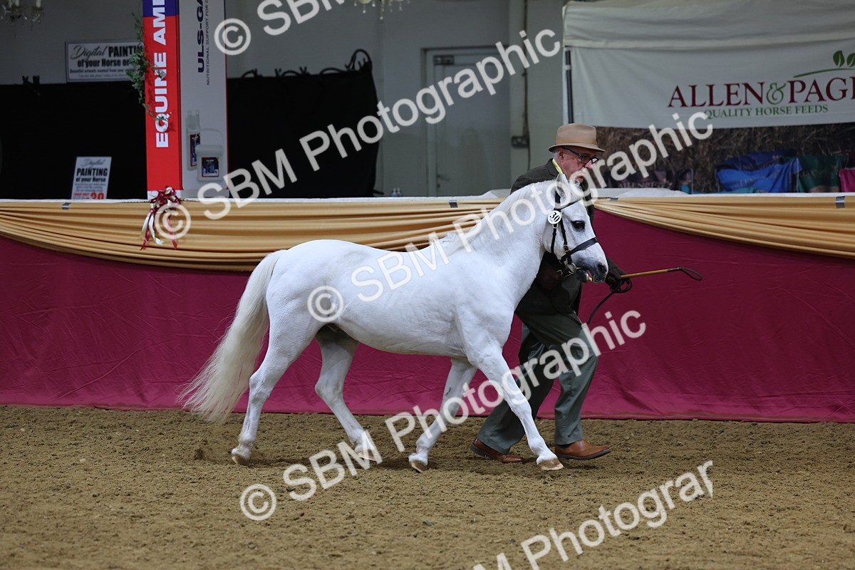 SBM_19380 - Class 901 - Supreme Final - IH Diamond