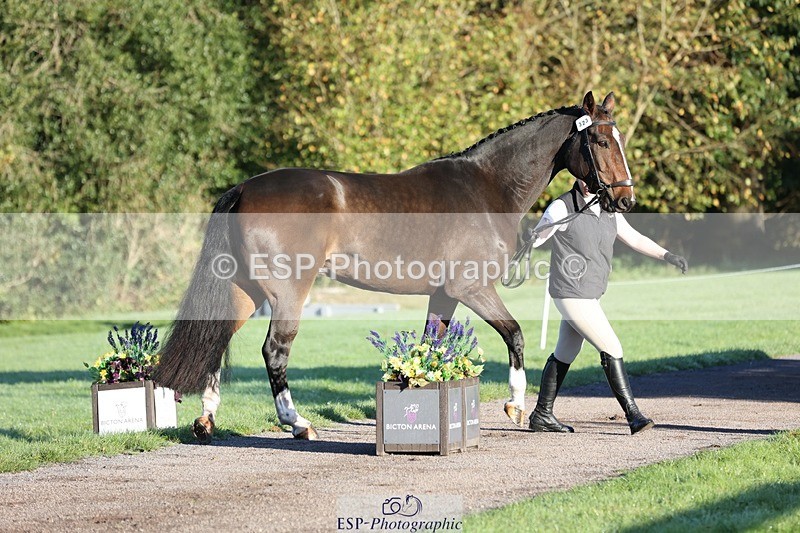 241027-083809-14710 - 323-Nicky.Blastland-FOUNDATIONS.HUSTLER