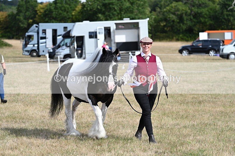 WJ7_8006 - In-hand Championship