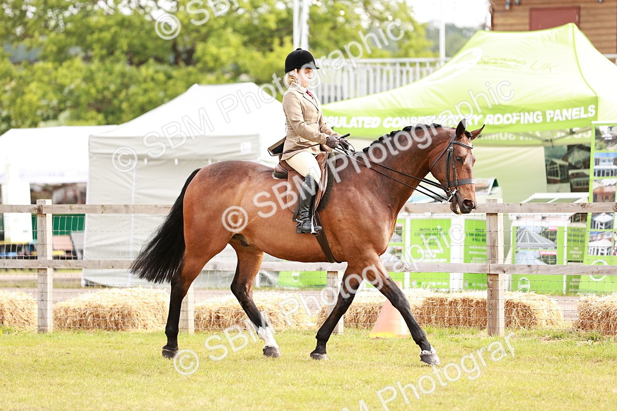 SBM_10842 - Class 81-84 - RIHS Ridden hunters Inc Ladies Hunter
