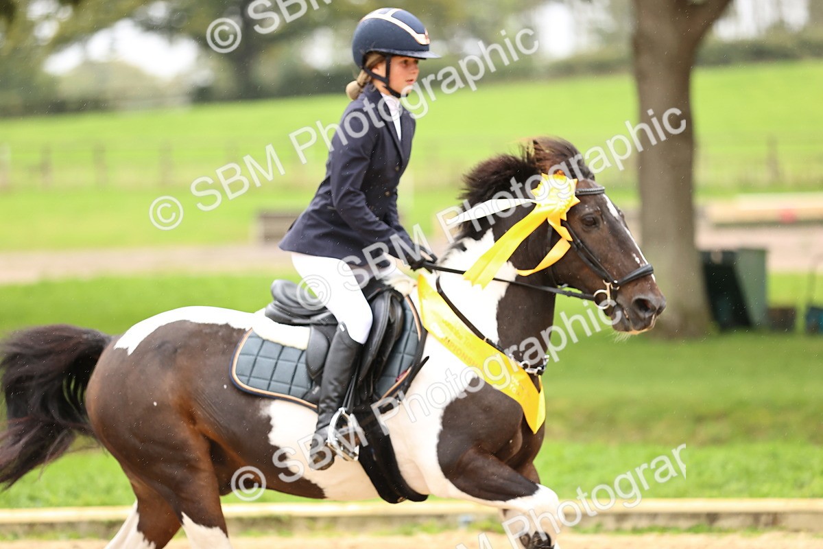 SBM_69076 - J18 - Junior Pony 85cm championship