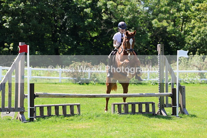 3E7A7109 - Class 30: Novice Working Hunter