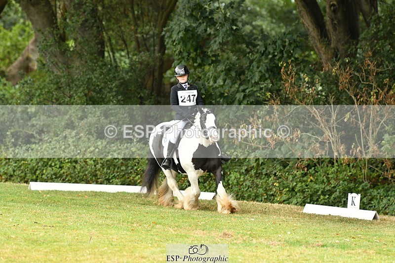 250820A-122834-05609 - 12 to 13.00