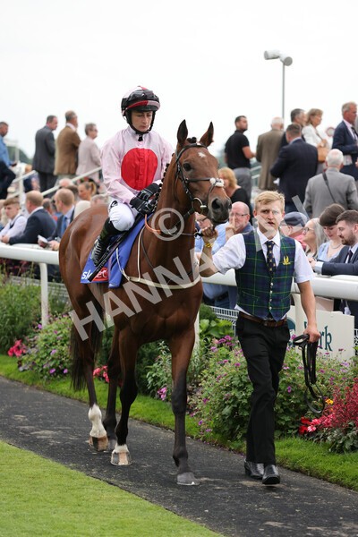yr20082021r1-11 - Race 1 1.50pm Sky Bet Stakes