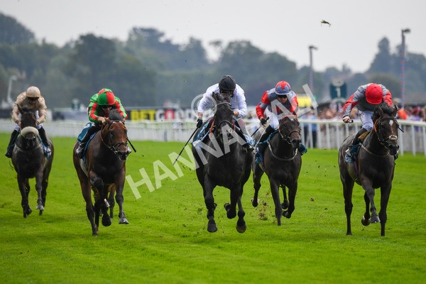 100923-Race 2-Florida-0507 - Race 2 2.15pm John And Judith Marshall Memorial Handicap