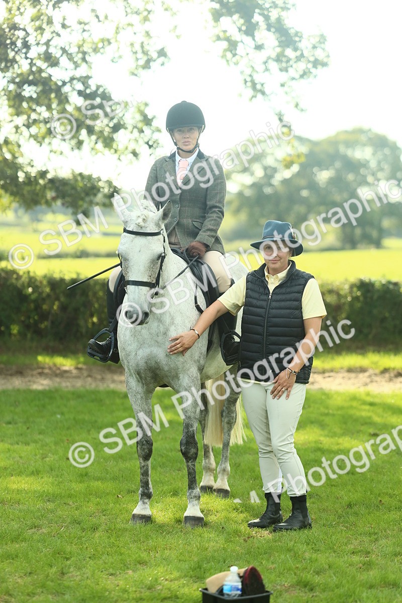 SBM_52162 - S33 - Working Hunter & Working Show Horse