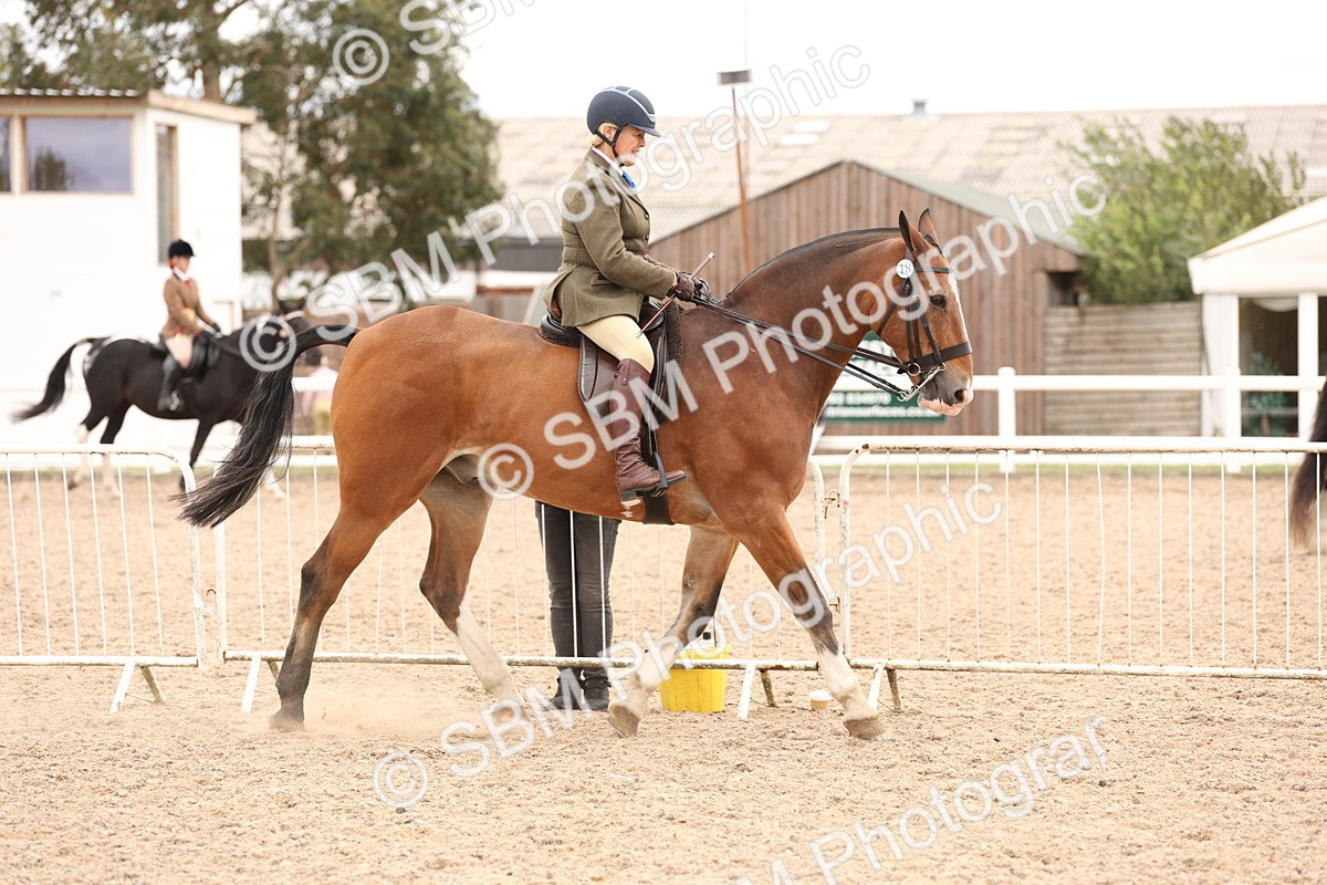 SBM_19505 - Class 215 - Ridden Show cob