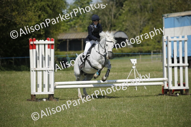 20250427-2179 - Class 13 - Novice Jumping 60cm