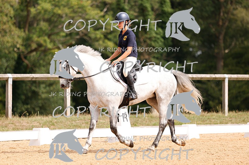 _R6A2757 - Dressage Morning