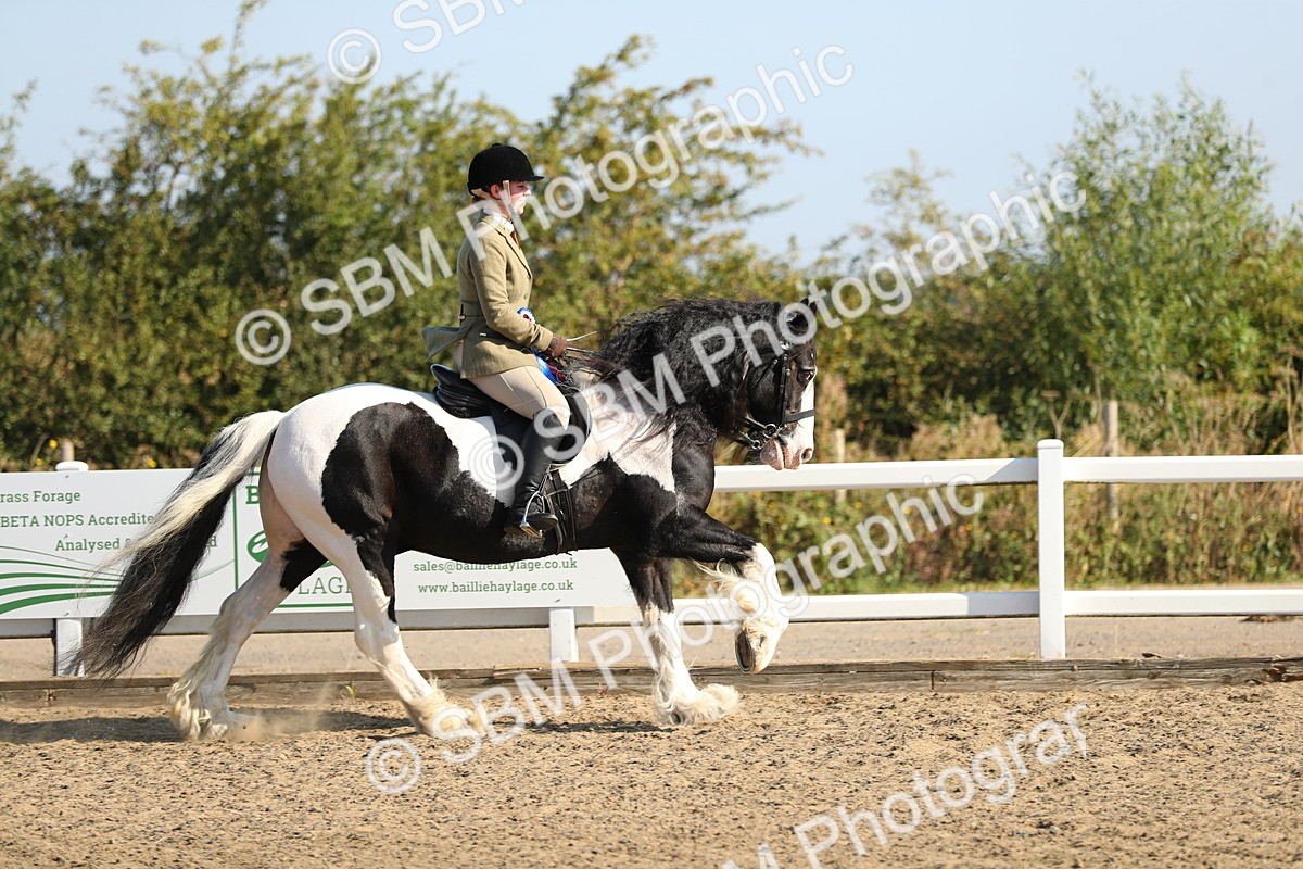 SBM_01263 - Class 42 Ridden Veteran