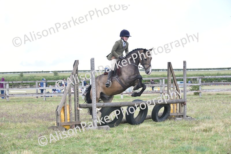 20250831-3969 - Class 12 - Working Hunter Pony 14.2hh and Under