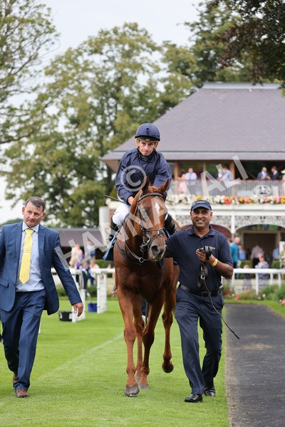 yr20082021r7-38 - Race 7 5.10pm Sky Bet Mile