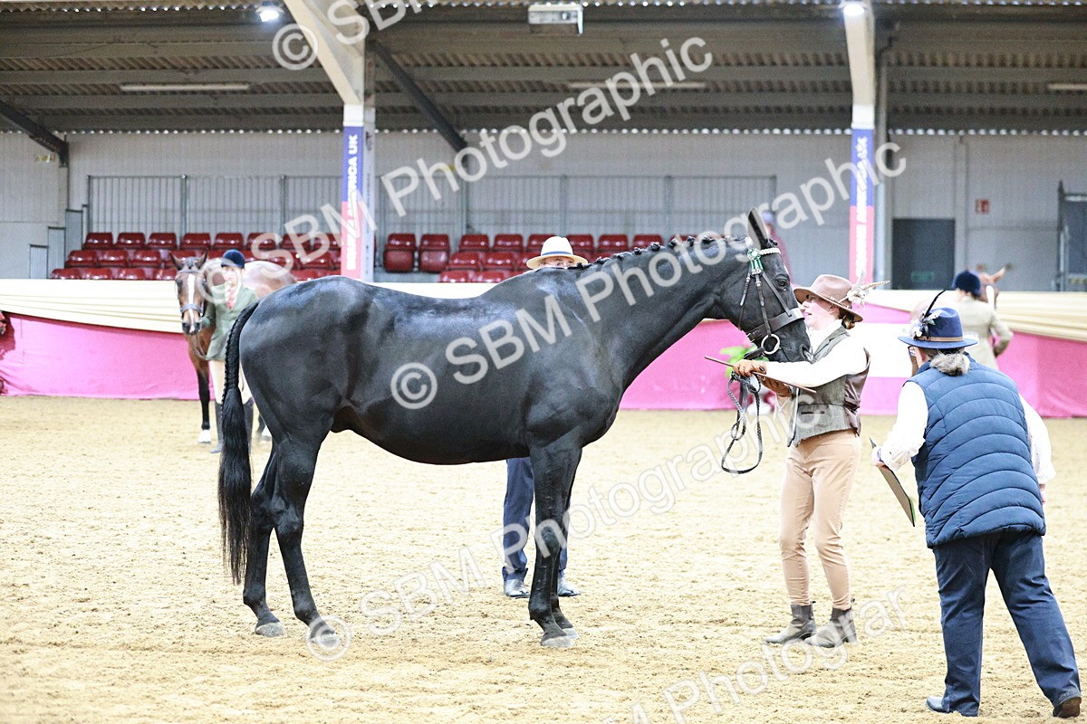 SBM_00276 - Class 1A - Area IH Diamond