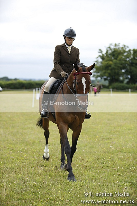 BVR160717-271 - Ring 1 BVRC Show 16/07/17