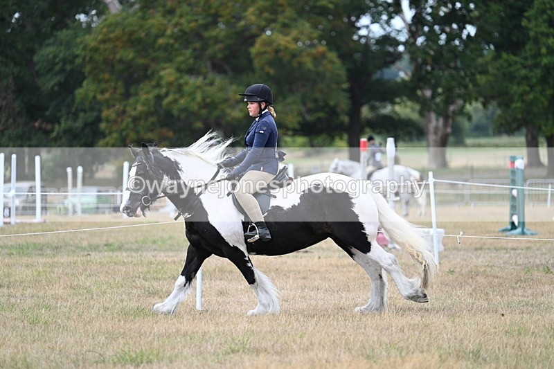 WJ7_5113 - Class 12 Ridden Cob