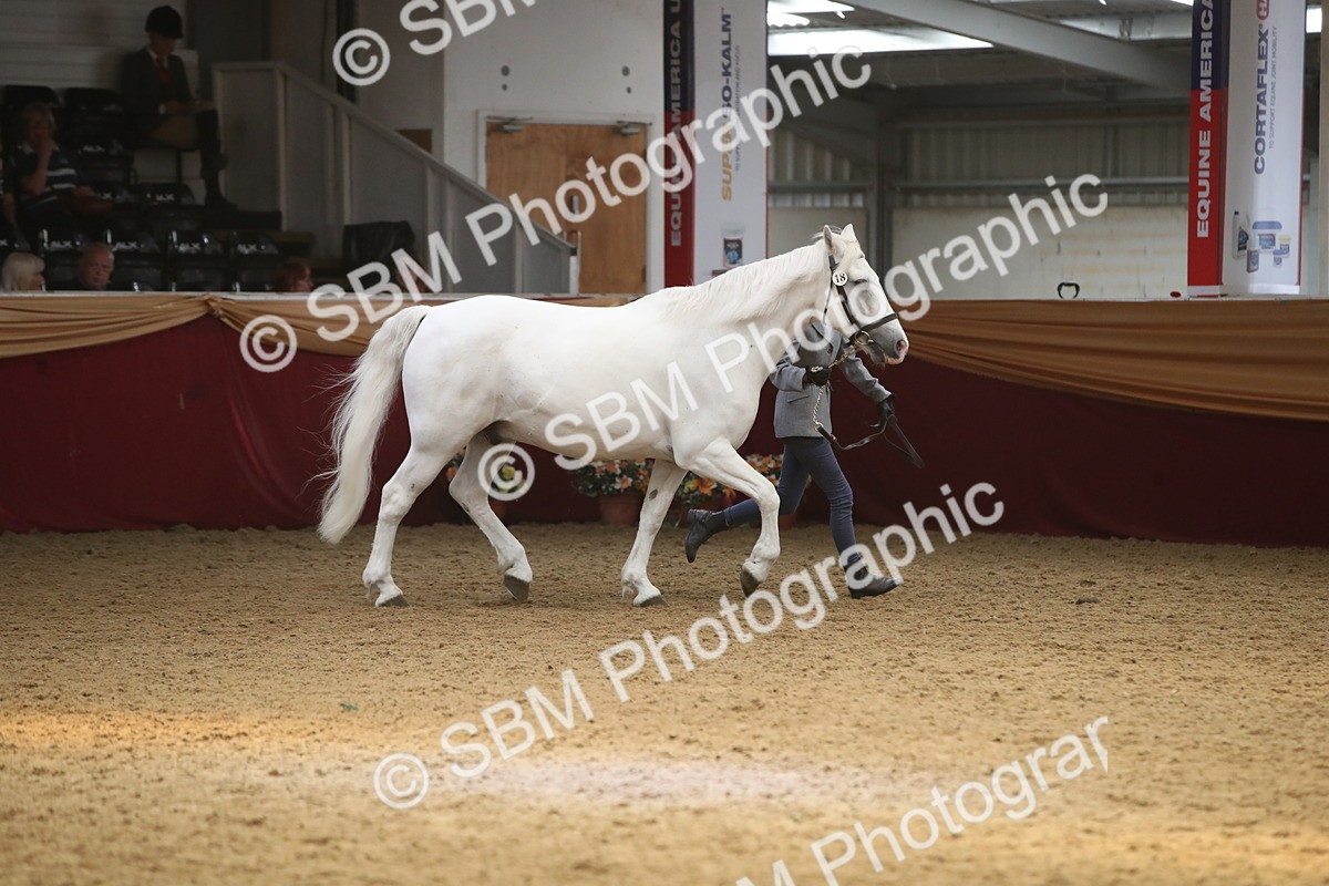 SBM_05641 - Class 9R - Regional IH Pre-Vet