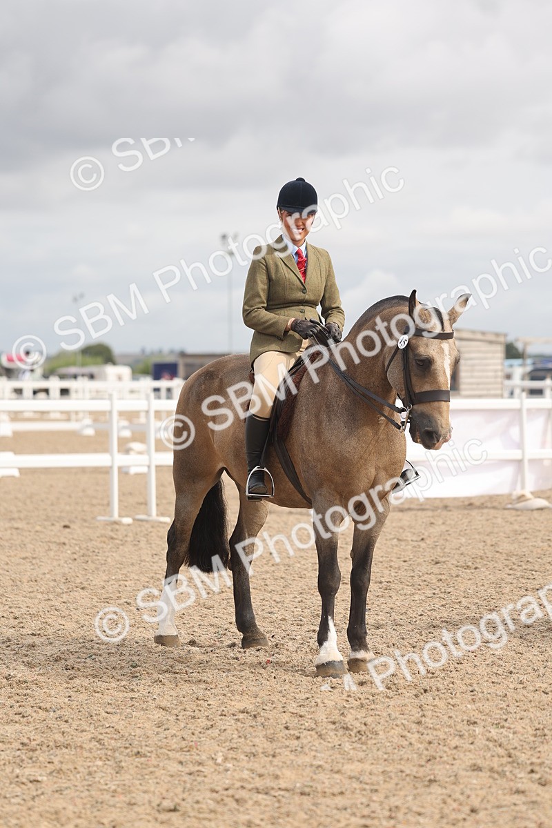 SBM_04542 - Class 19 - Horse/Pony Judge would most like to take home