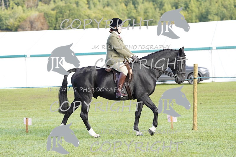 _DSC9304 - Class 8 & 17 Ridden Hunter & Ridden Hunter Pony
